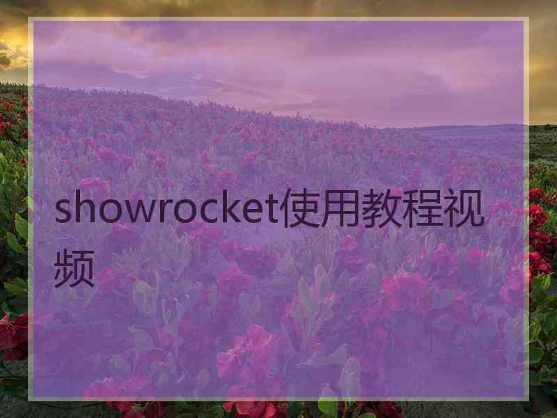 showrocket使用教程视频