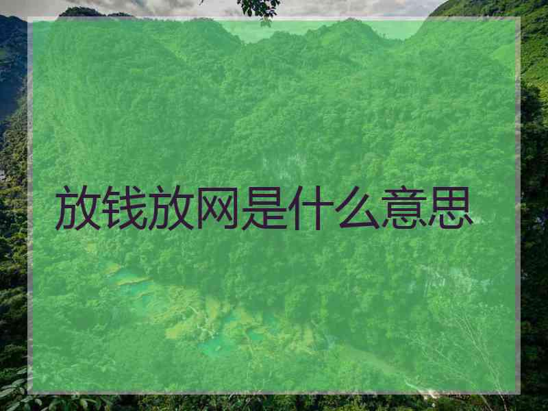 放钱放网是什么意思
