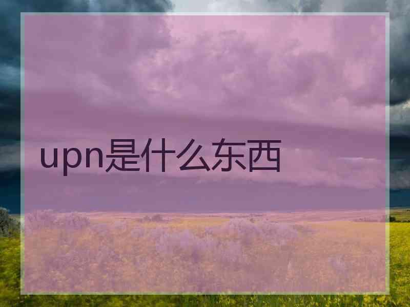 upn是什么东西