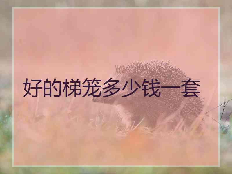 好的梯笼多少钱一套