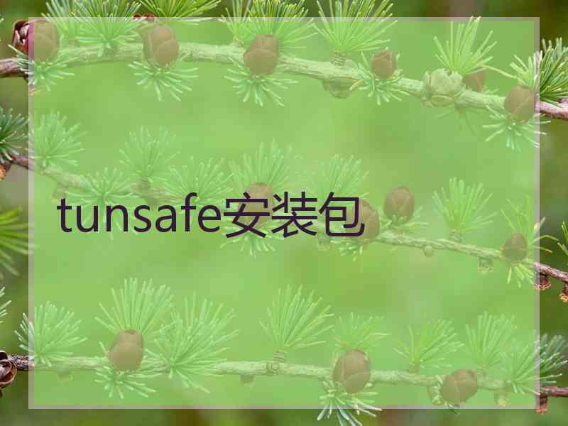 tunsafe安装包