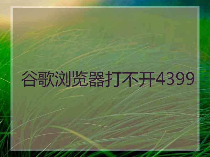 谷歌浏览器打不开4399