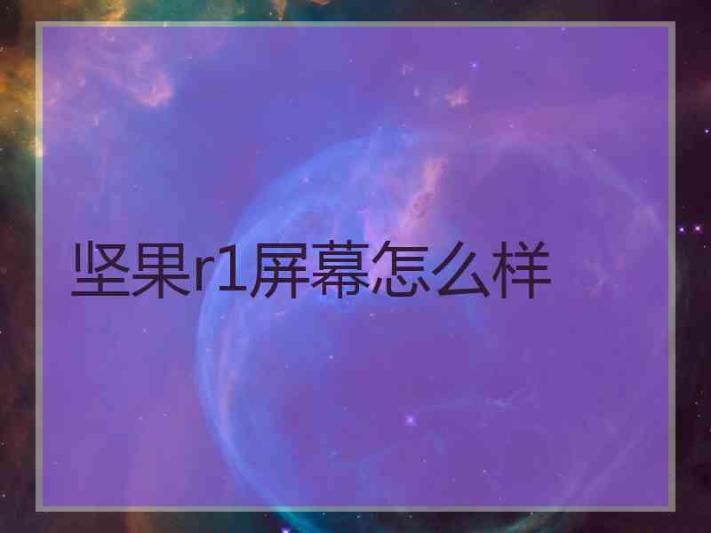 坚果r1屏幕怎么样