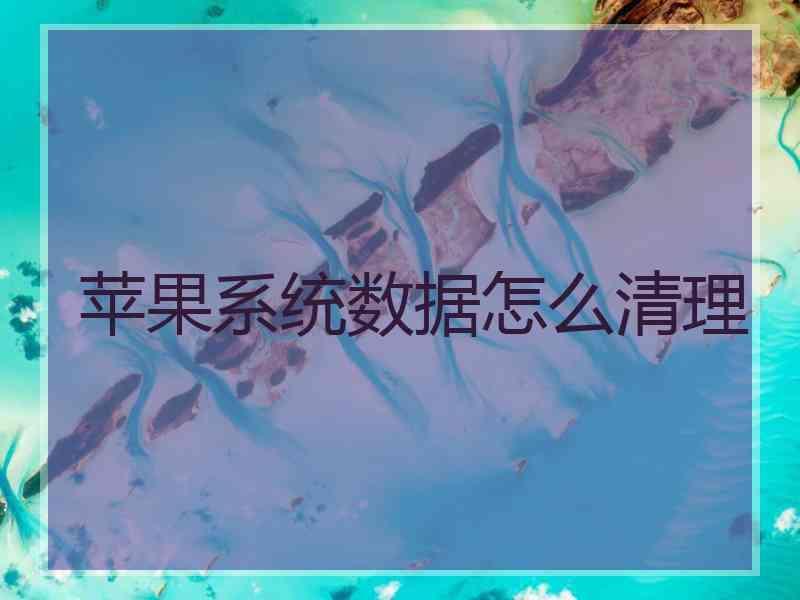 苹果系统数据怎么清理
