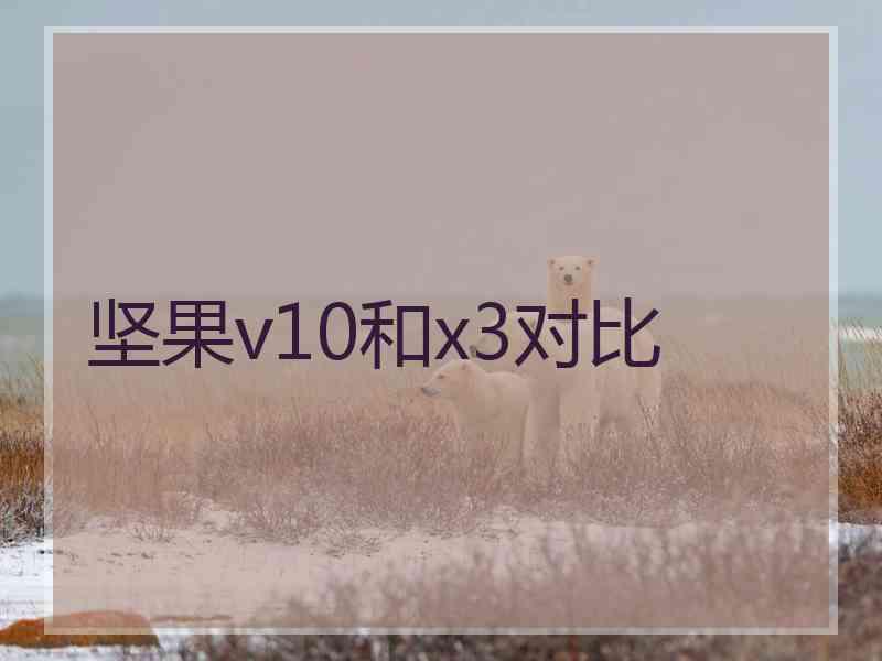 坚果v10和x3对比