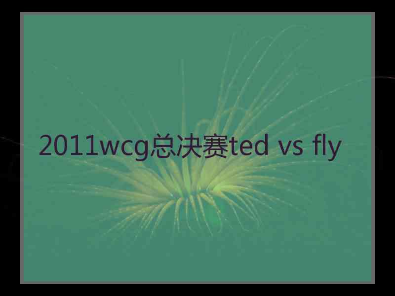2011wcg总决赛ted vs fly
