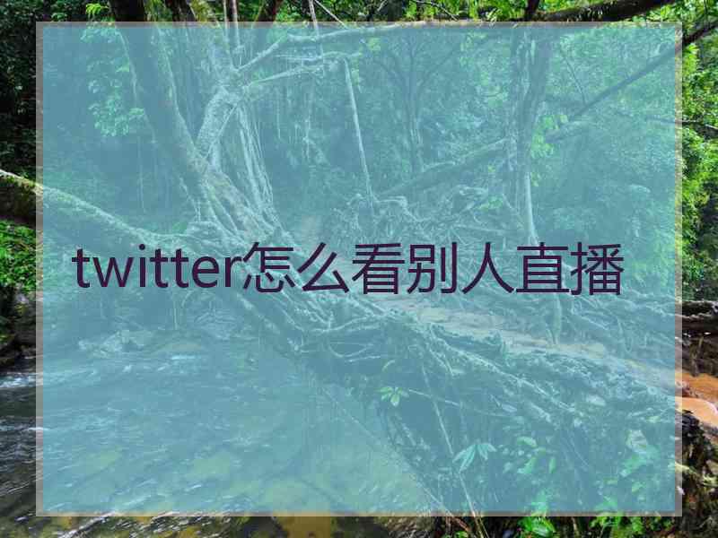 twitter怎么看别人直播