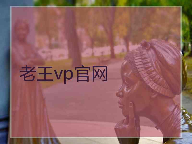 老王vp官网