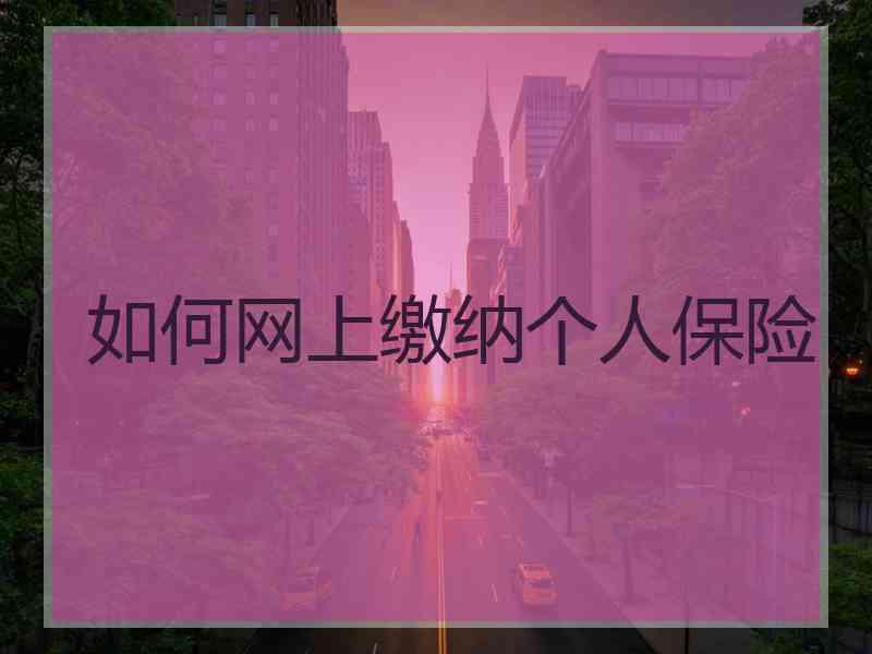 如何网上缴纳个人保险