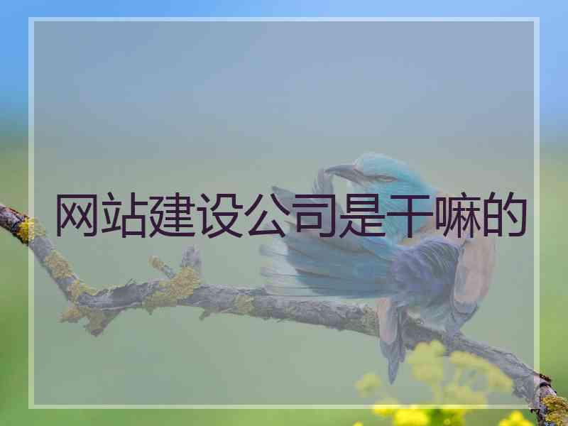 网站建设公司是干嘛的