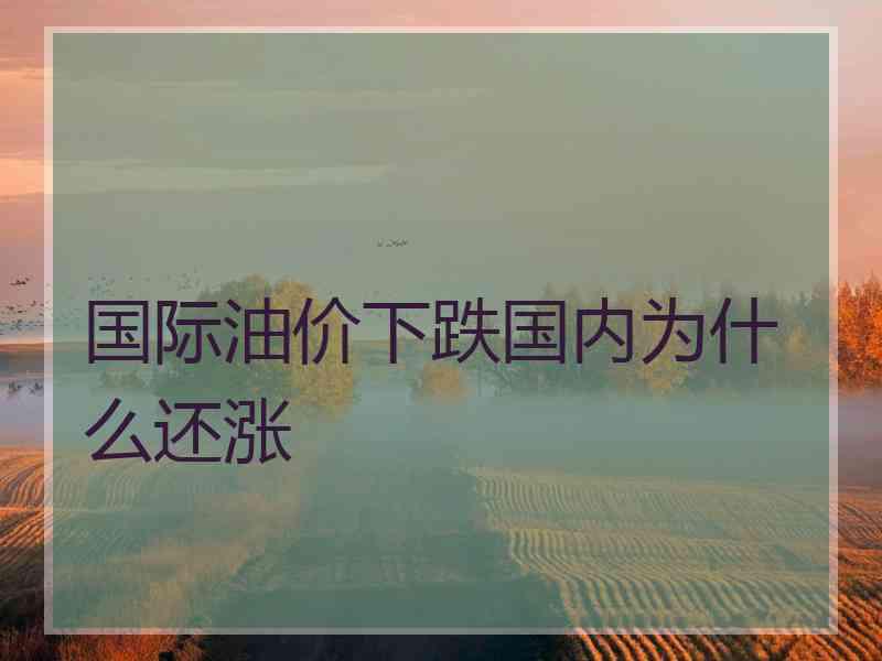 国际油价下跌国内为什么还涨