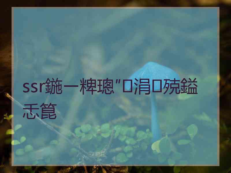 ssr鍦ㄧ粺璁″涓殑鎰忎箟