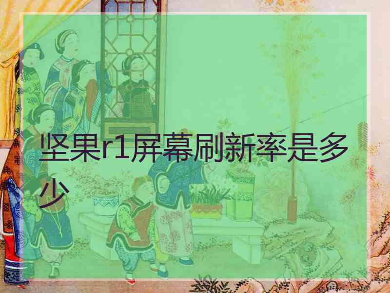 坚果r1屏幕刷新率是多少