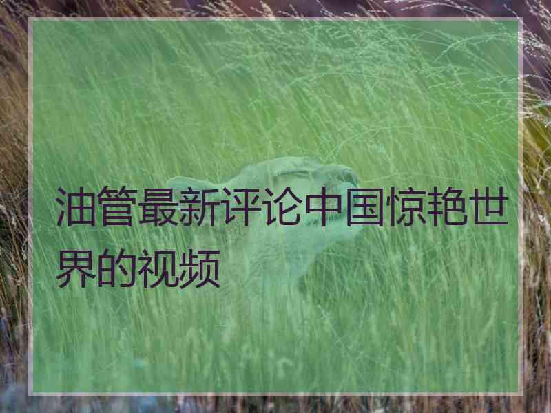 油管最新评论中国惊艳世界的视频