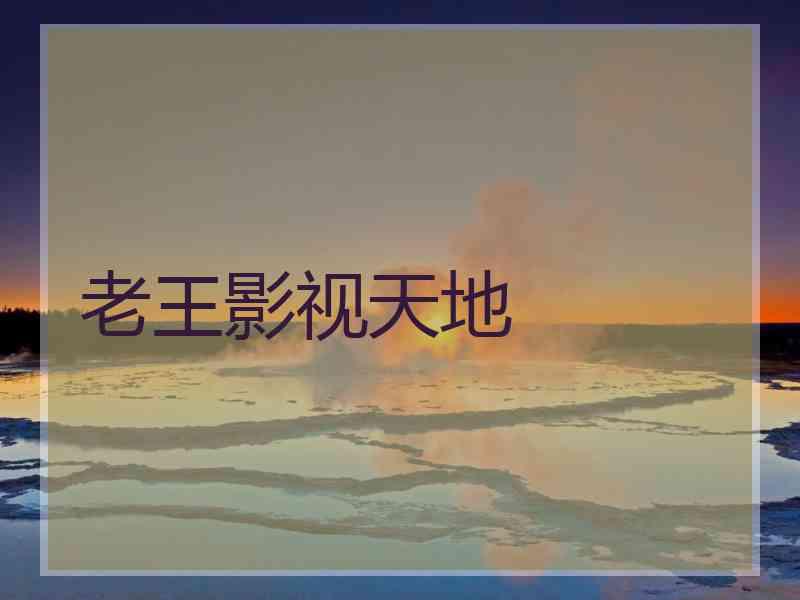老王影视天地