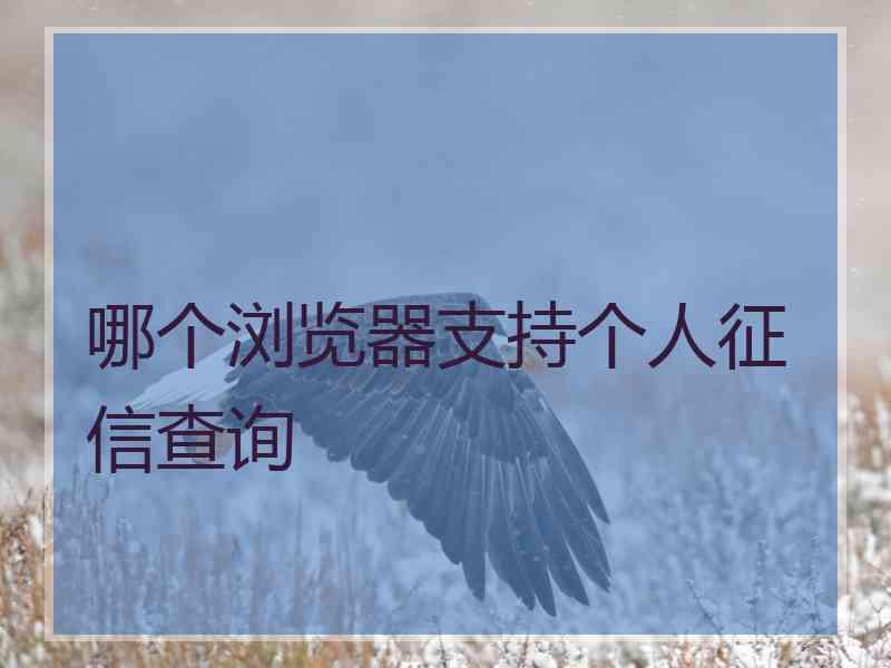 哪个浏览器支持个人征信查询