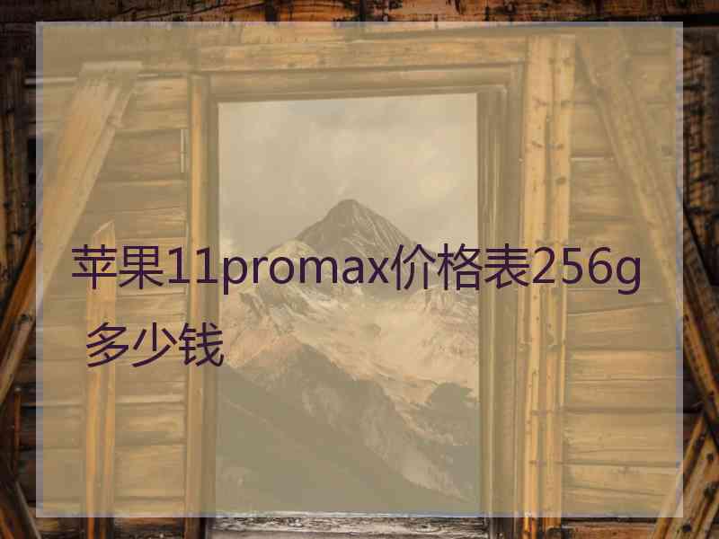 苹果11promax价格表256g 多少钱