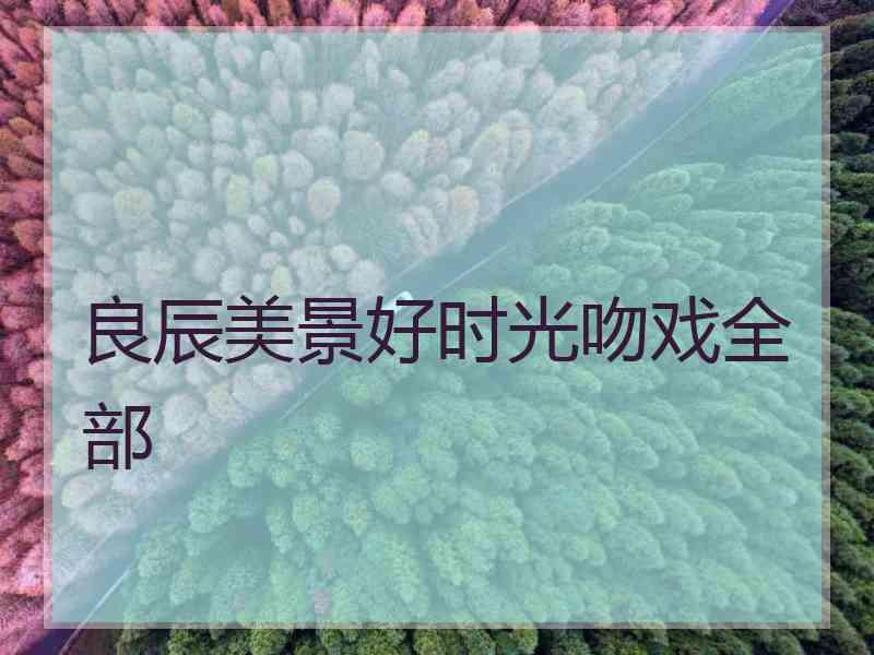 良辰美景好时光吻戏全部