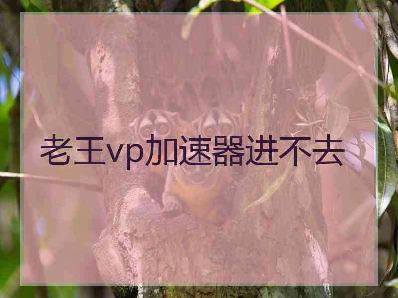 老王vp加速器进不去
