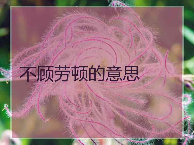 不顾劳顿的意思
