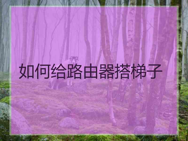 如何给路由器搭梯子