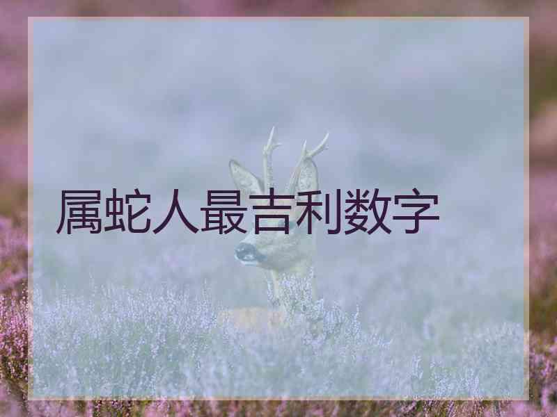 属蛇人最吉利数字