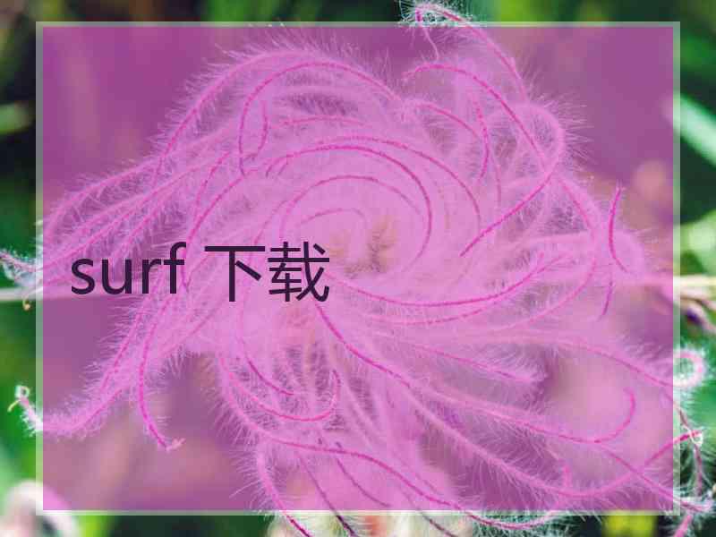surf 下载