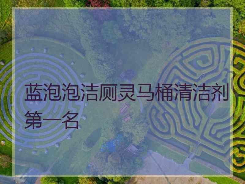 蓝泡泡洁厕灵马桶清洁剂第一名