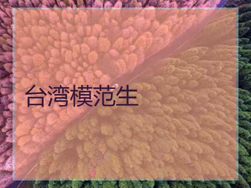台湾模范生