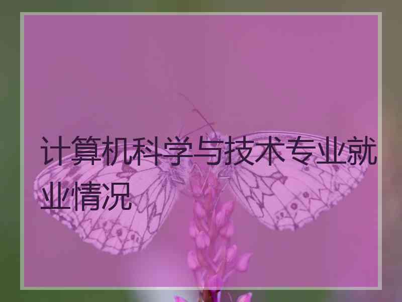 计算机科学与技术专业就业情况