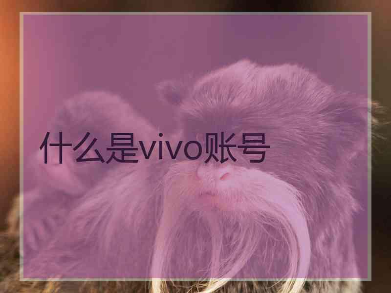 什么是vivo账号