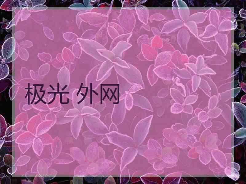 极光 外网