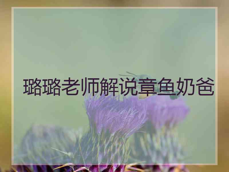 璐璐老师解说章鱼奶爸
