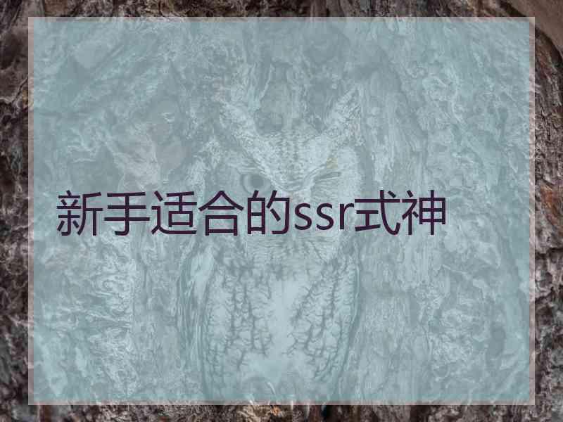 新手适合的ssr式神