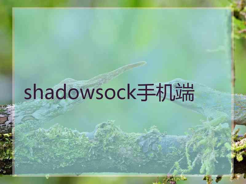 shadowsock手机端