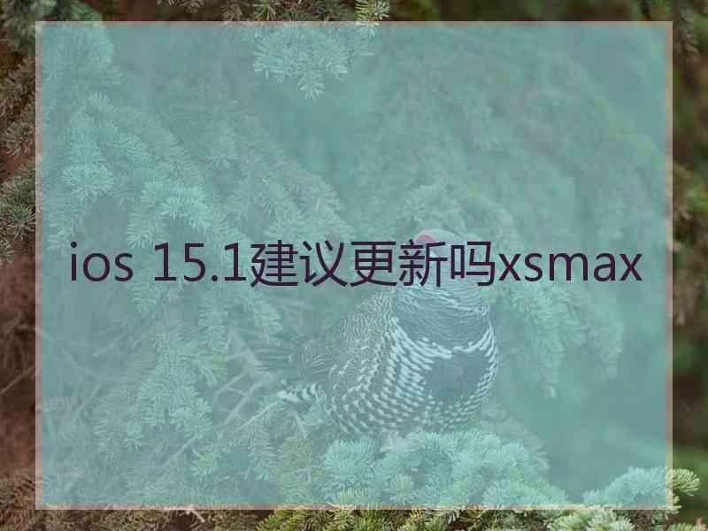 ios 15.1建议更新吗xsmax