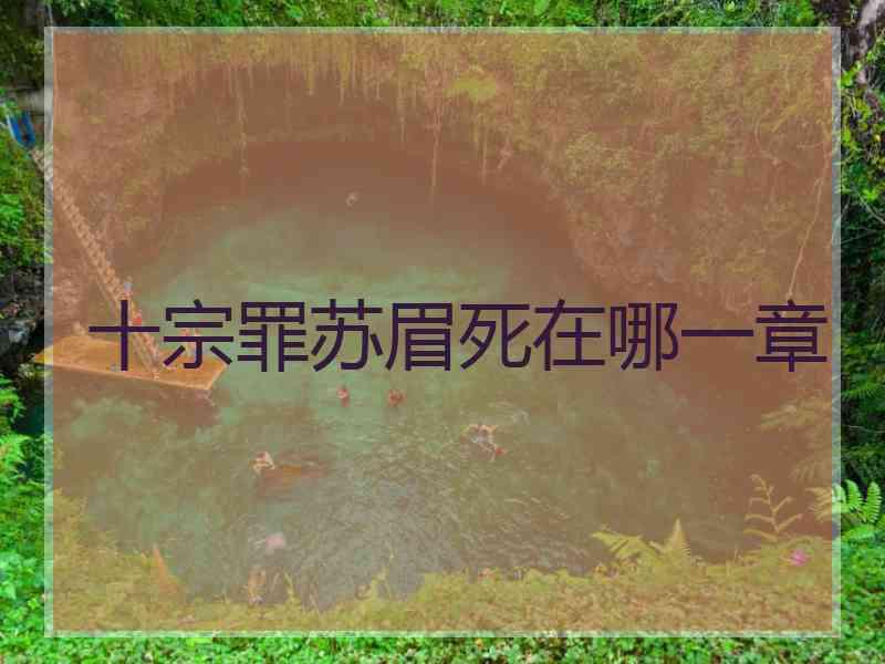 十宗罪苏眉死在哪一章
