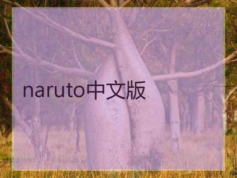 naruto中文版