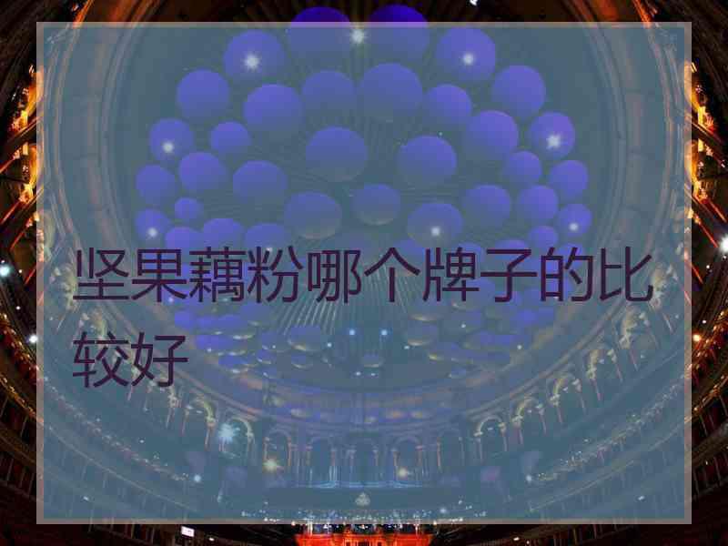 坚果藕粉哪个牌子的比较好