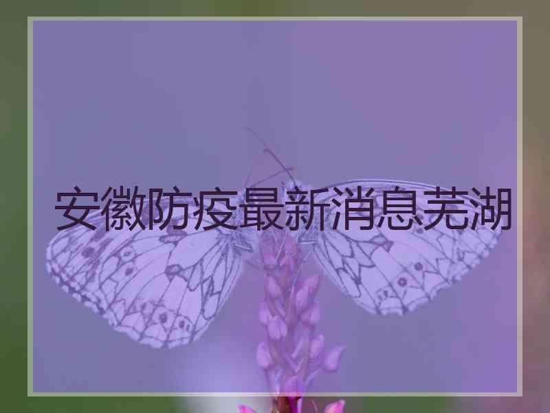 安徽防疫最新消息芜湖
