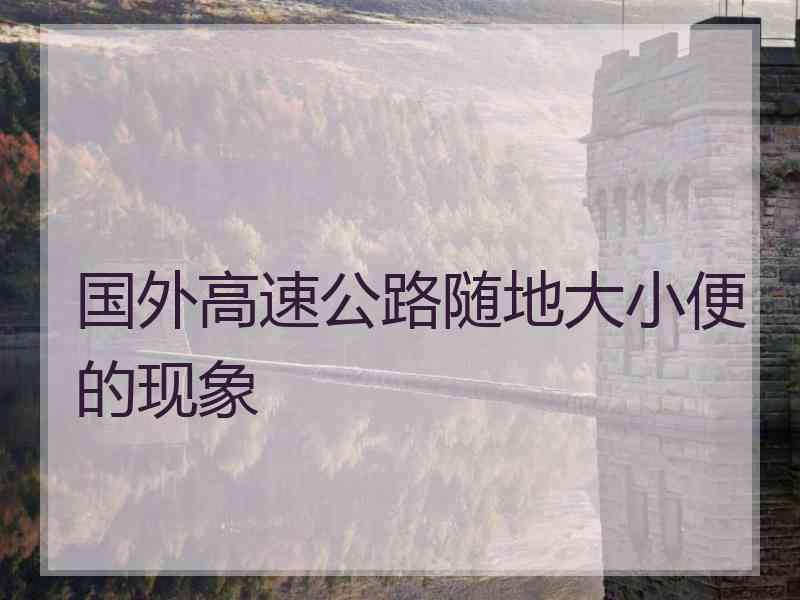 国外高速公路随地大小便的现象