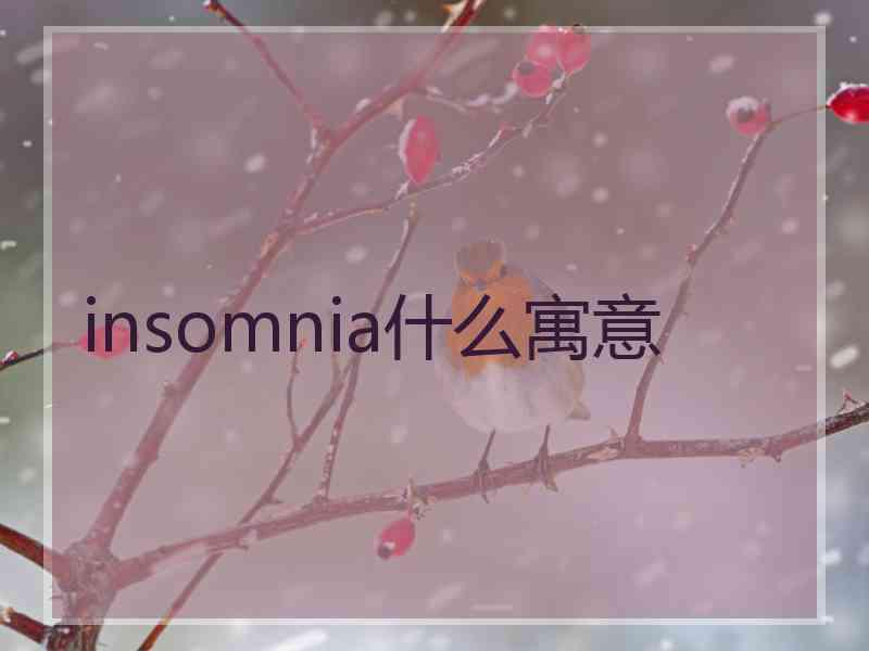 insomnia什么寓意