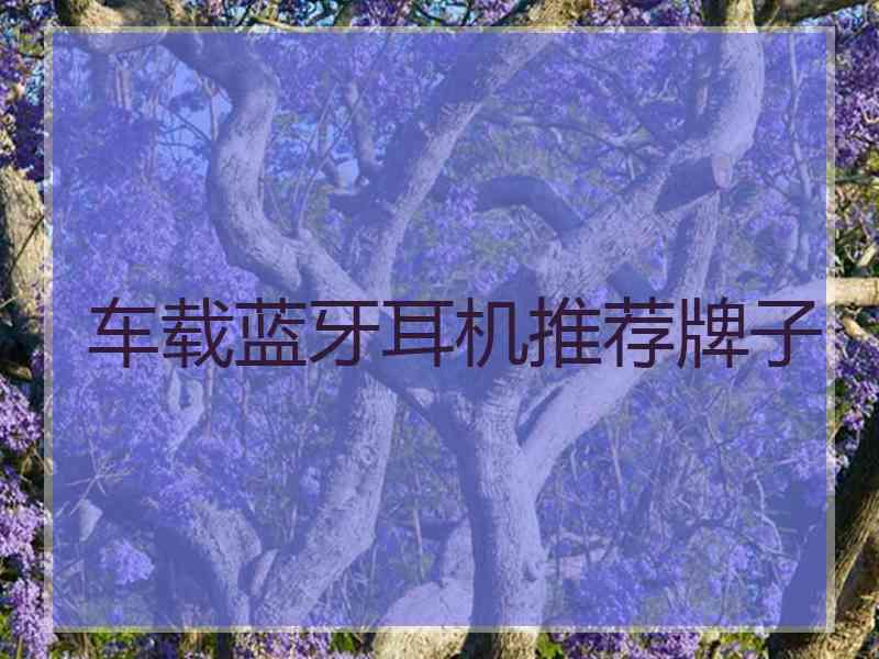 车载蓝牙耳机推荐牌子