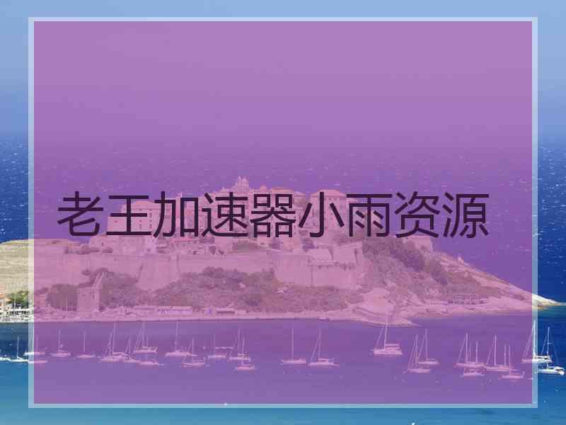 老王加速器小雨资源