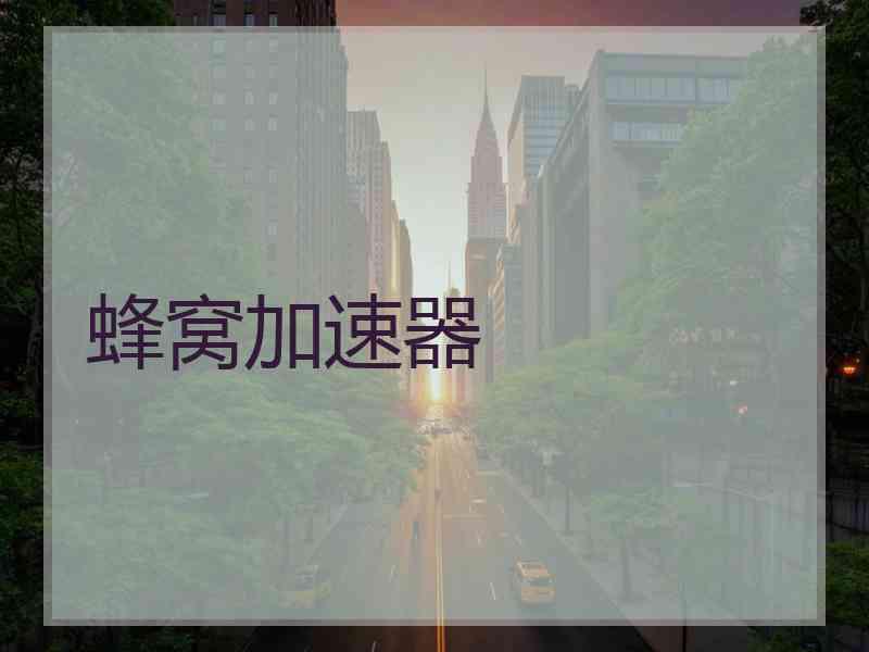 蜂窝加速器