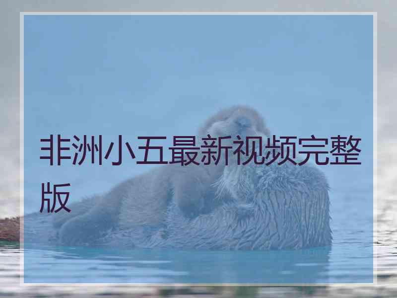 非洲小五最新视频完整版