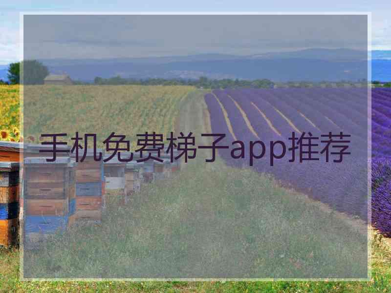 手机免费梯子app推荐