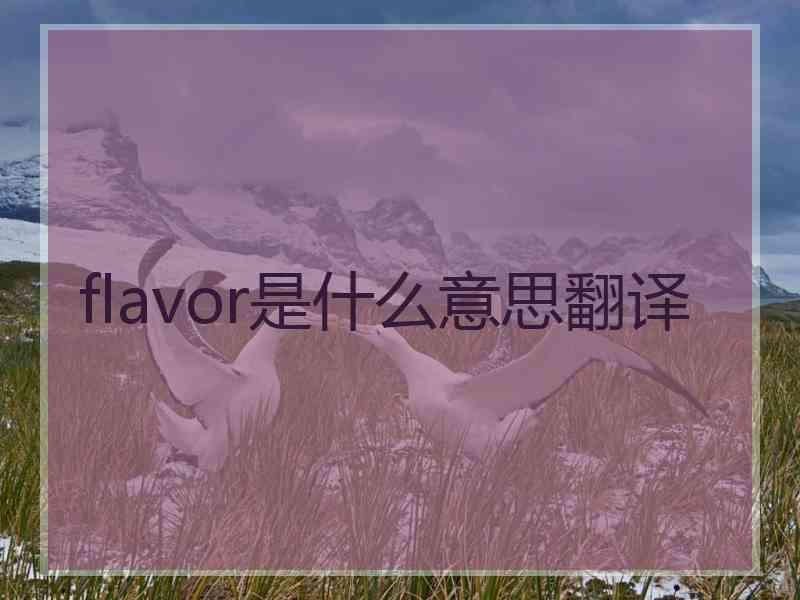 flavor是什么意思翻译