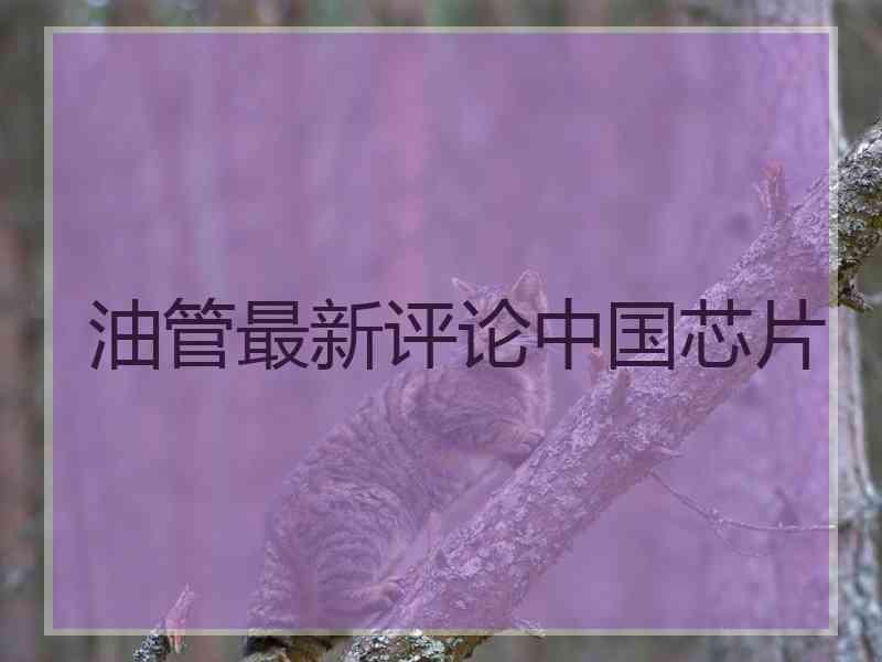 油管最新评论中国芯片