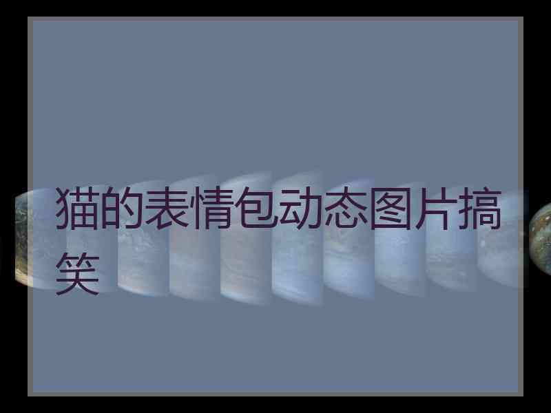 猫的表情包动态图片搞笑
